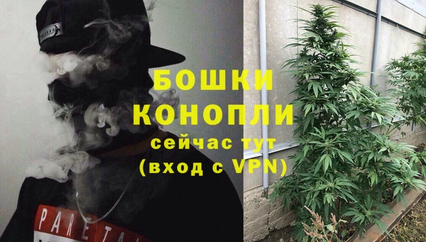 PSILOCYBIN Абдулино
