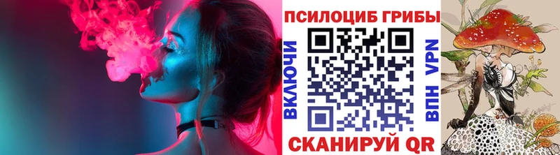 Псилоцибиновые грибы Psilocybine cubensis  Александровск 